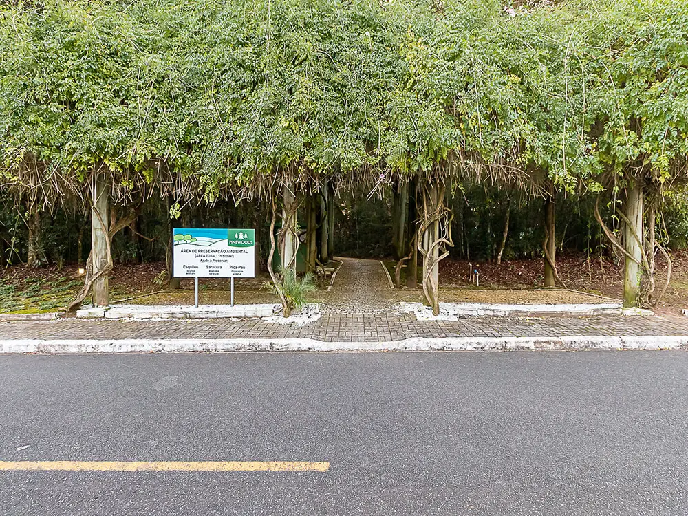 Bosque de pinheiros — natureza preservada dentro do condomínio